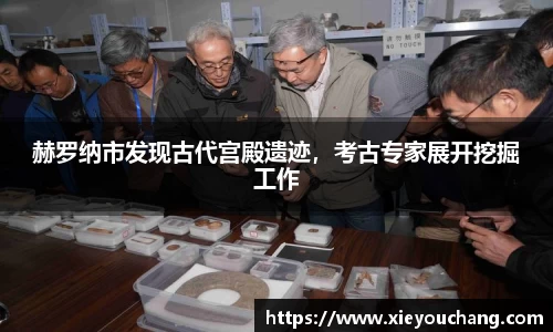 U8国际平台