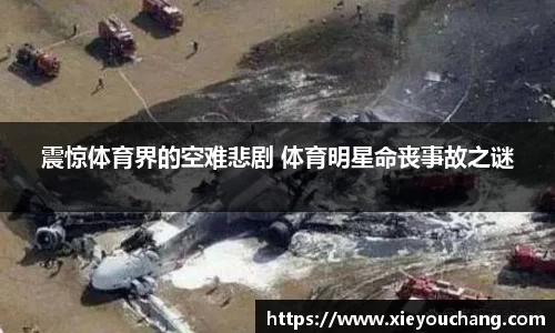 震惊体育界的空难悲剧 体育明星命丧事故之谜
