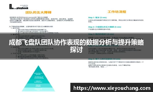 成都飞盘队团队协作表现的数据分析与提升策略探讨